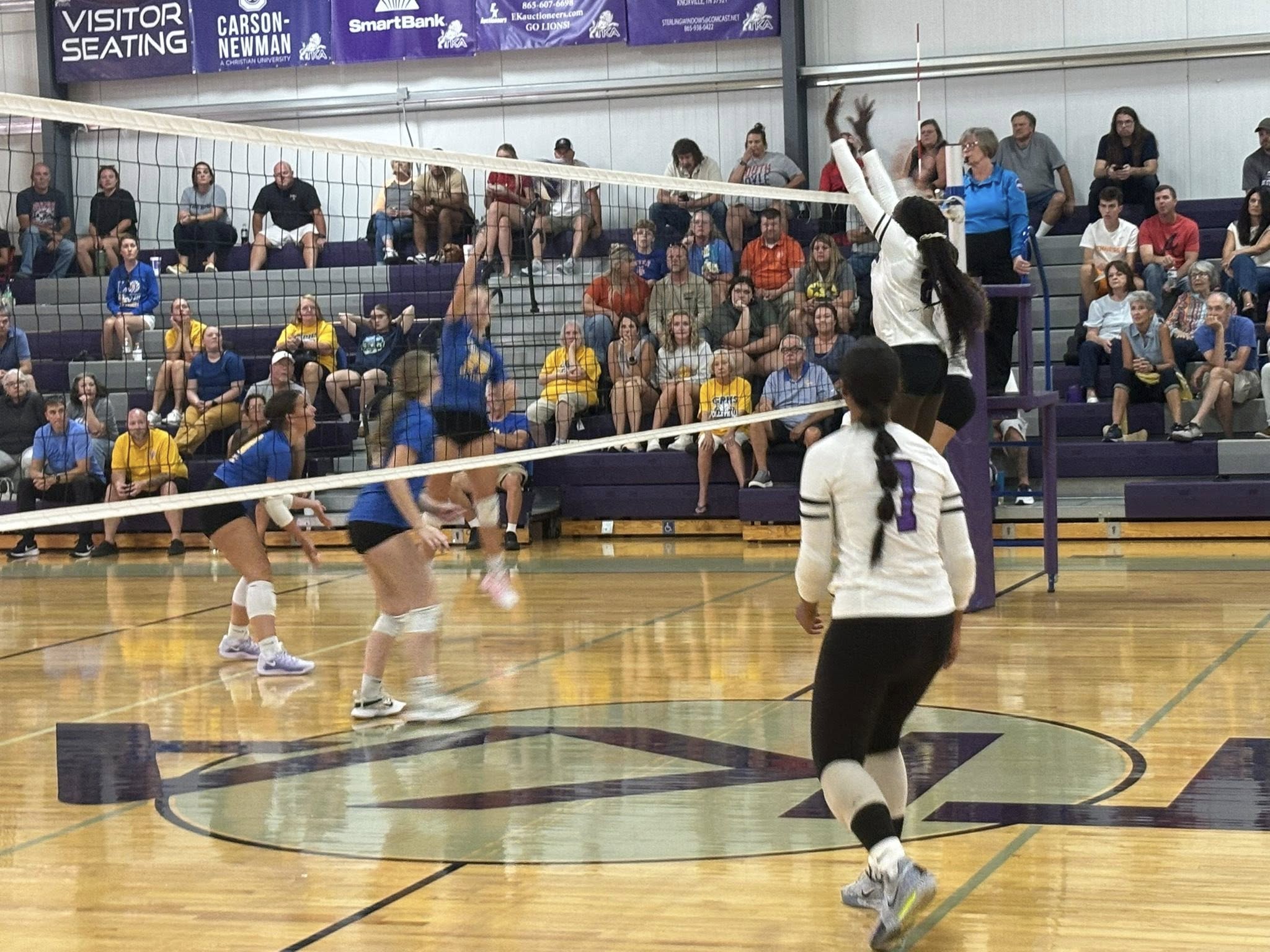 Featured image for “Lady Lions down Gatlinburg-Pittman in season opener”