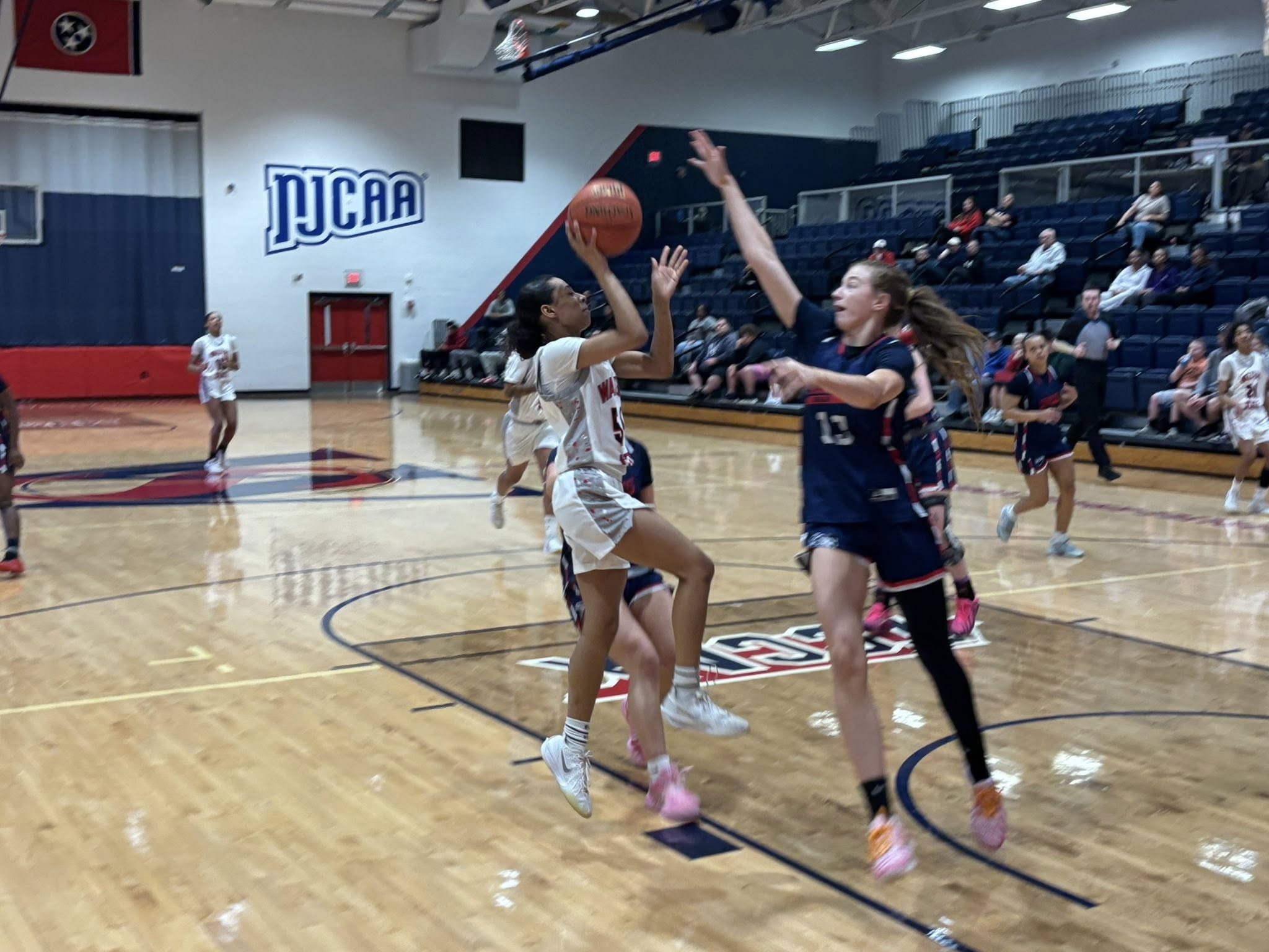 Anaya Mulhollang-Natt