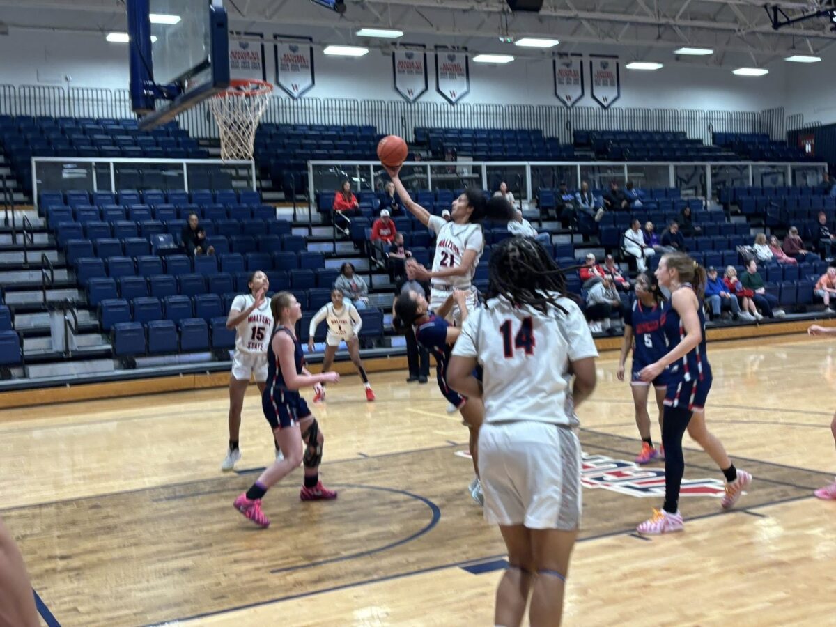 Walters State-Dyersburg State