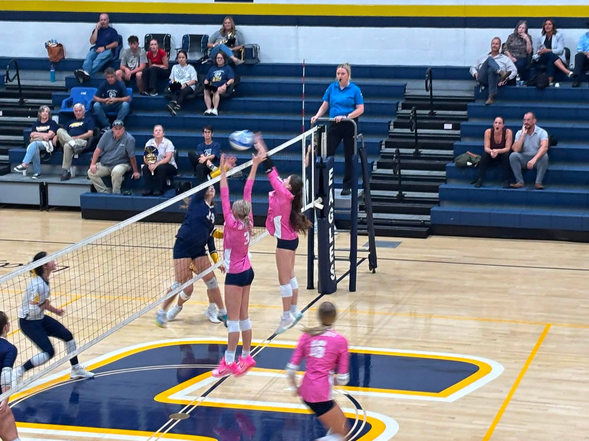 Featured image for “Lady Ads rally to win 4th and 5th sets and defeat Seymour”